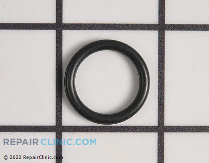 O-Ring WS03X10021 Alternate Product View