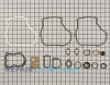Gasket Set 496659