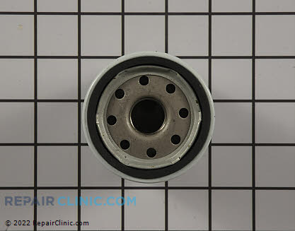 Oil Filter 539113466 Alternate Product View