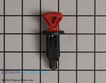Ignition Key 532424954 Alternate Product View