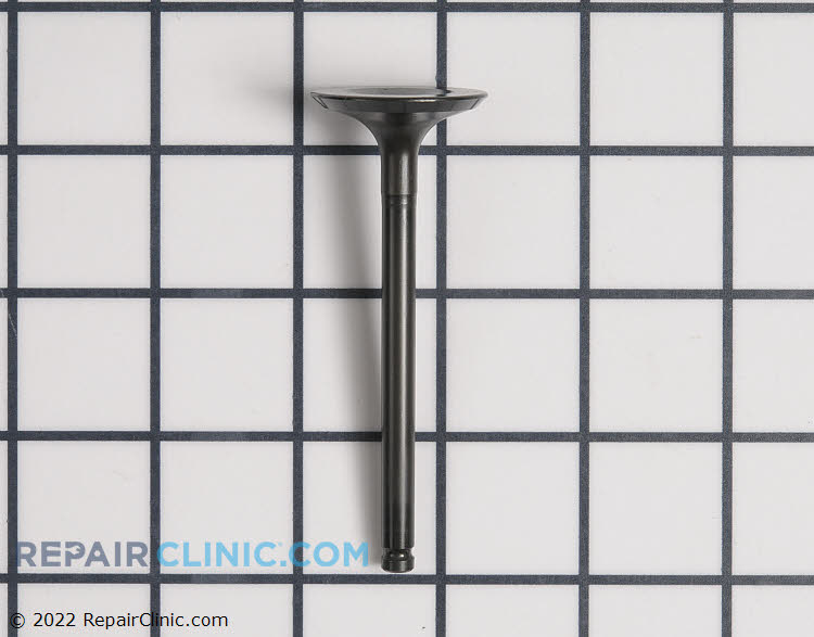 Exhaust Valve 120050777 Fast Shipping