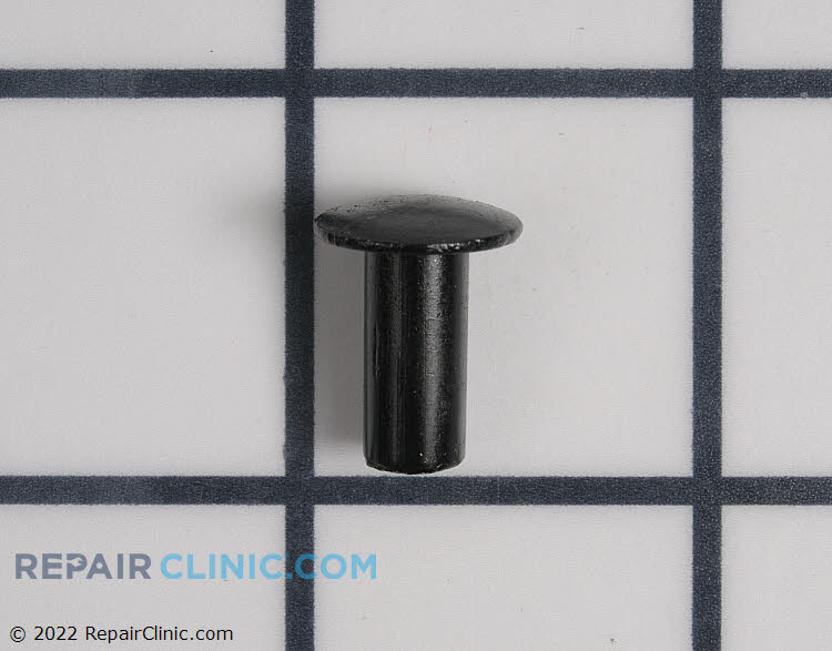 49838MA Rivet