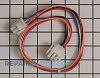 Wire Harness 1009325