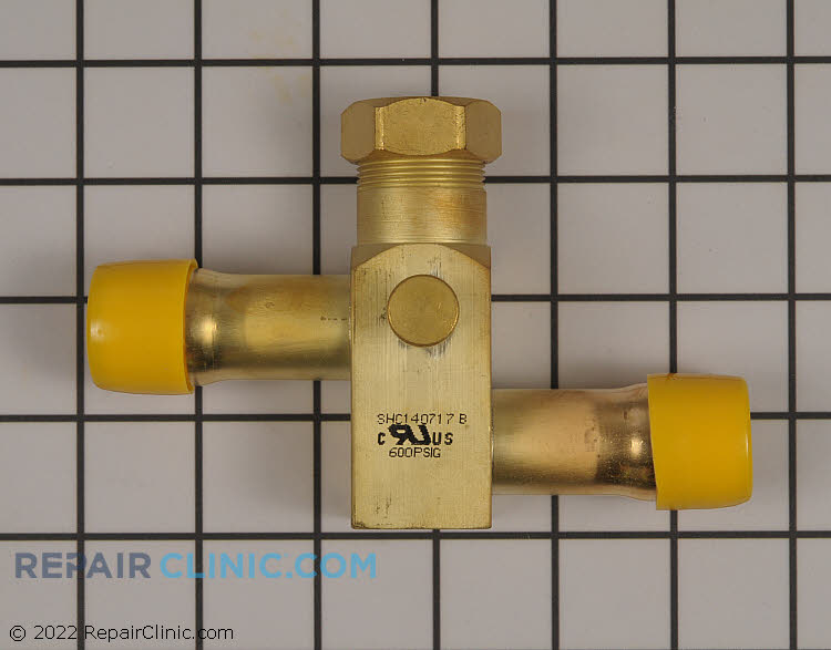 663865R Service Valve