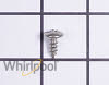 Screw WP308685