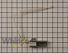 Igniter W11596211