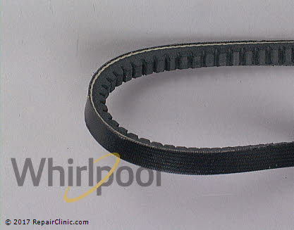 Water Pump Belt