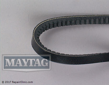 Water Pump Belt