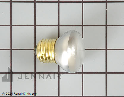 Light Bulb 49001187 Alternate Product View