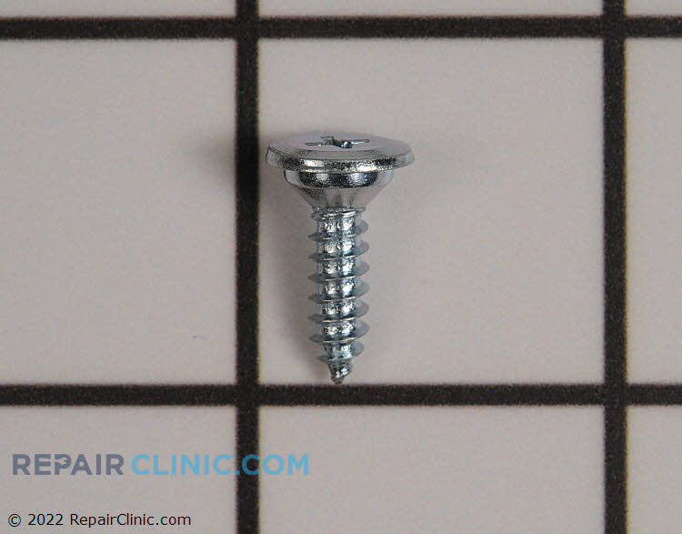 WP489357 Recessed Screw