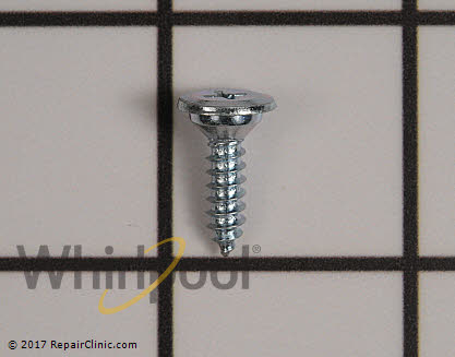 Recessed Screw