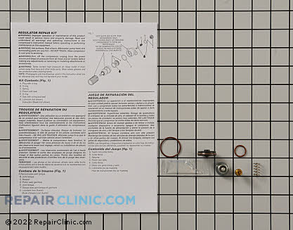 Valve Guide Repair Kit N008792 Alternate Product View