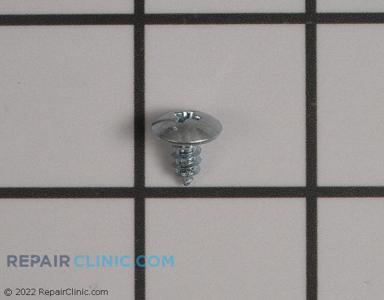 WP4159387 Screw