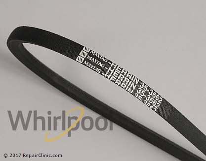 Drive Belt