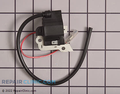 Ignition Coil A411000880 Alternate Product View