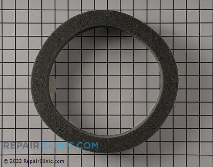 Air Filter 199629GS Alternate Product View