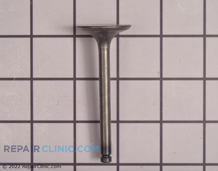 Intake Valve 12004-2113 Alternate Product View