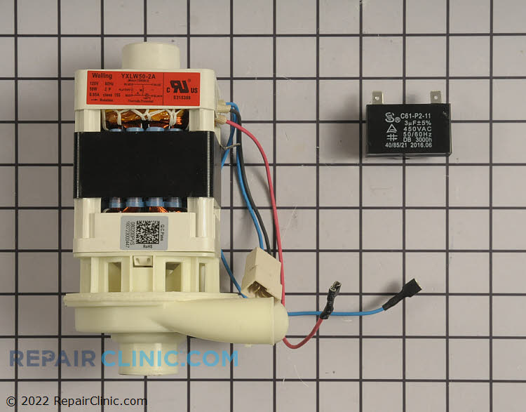 Circulation pump and motor