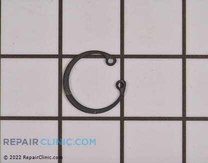 Snap Retaining Ring 505169401 Alternate Product View