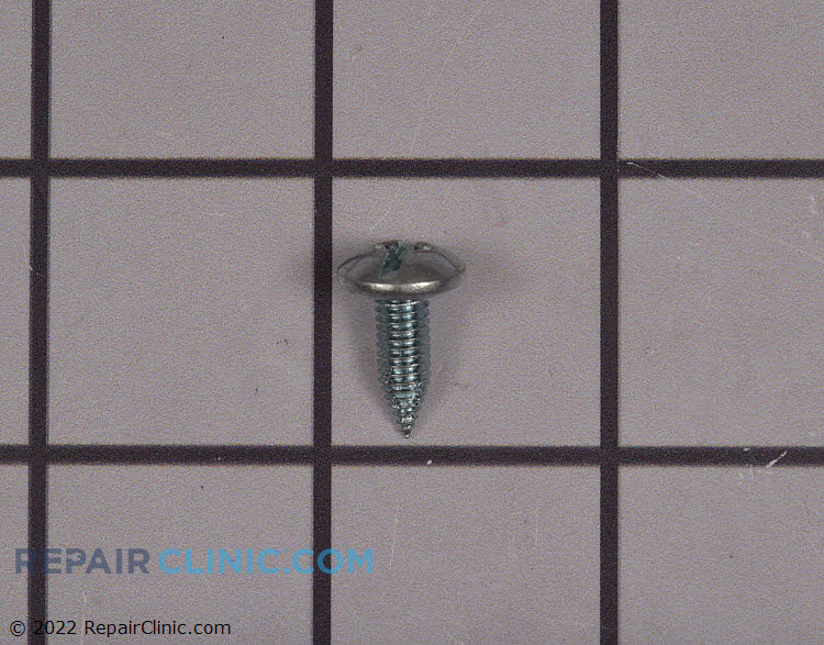 WP3196174 Screw