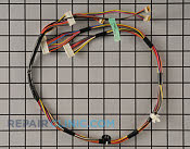 Wire Harness - Part # 2216534 Mfg Part # WH19X10081