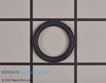 O-Ring 532407768 Alternate Product View