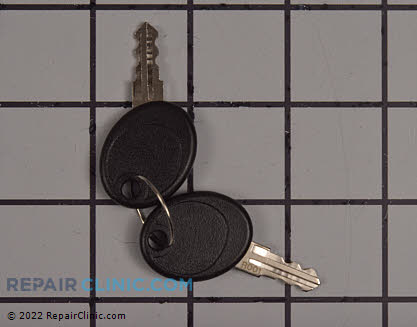 Door Key 207652GS Alternate Product View