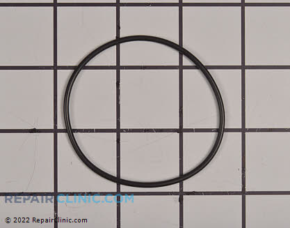 O-Ring 796863 Alternate Product View