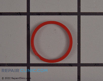 O-Ring 504064401 Alternate Product View