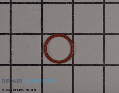 O-Ring 799581 Alternate Product View