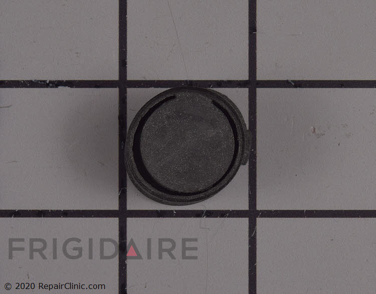 A00053601 Check Valve