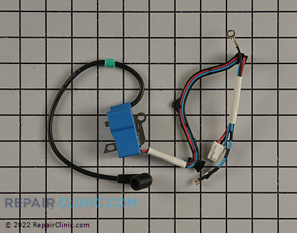 Ignition Module 522795107 Alternate Product View