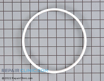 Snubber Ring 37937 Alternate Product View