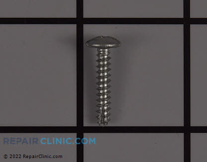 Screw FAB31700101 Alternate Product View