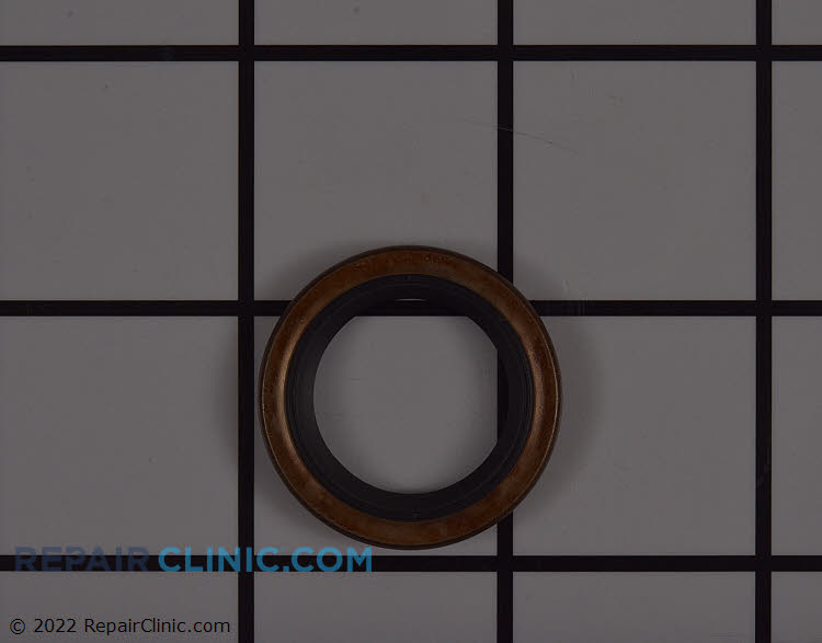299819S Oil Seal