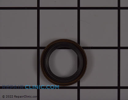 Oil Seal 299819S Alternate Product View