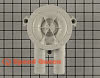 Drain Pump 205217P