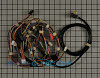 Wiring harness complete WR23X10624