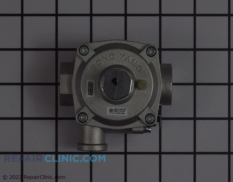 5304521339 Pressure Regulator