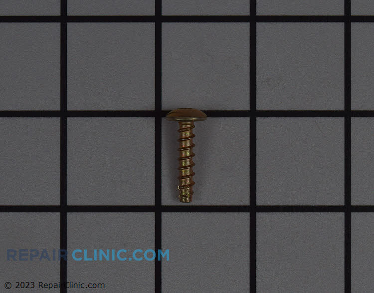 WP3196164 Screw