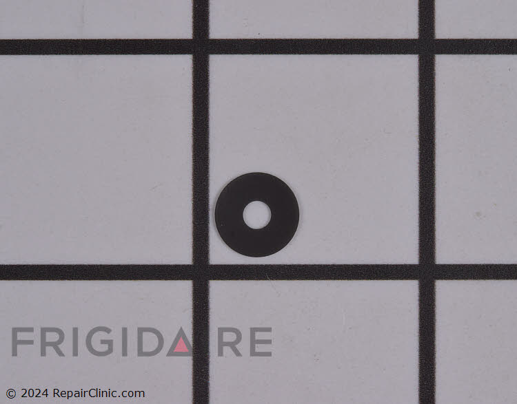 5304519176 Washer