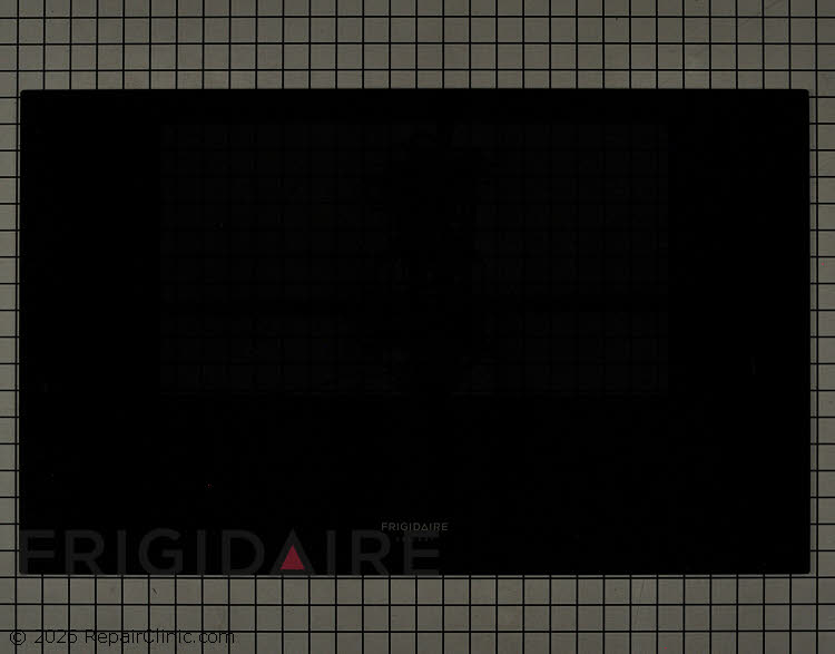 316355501 Outer Door Glass