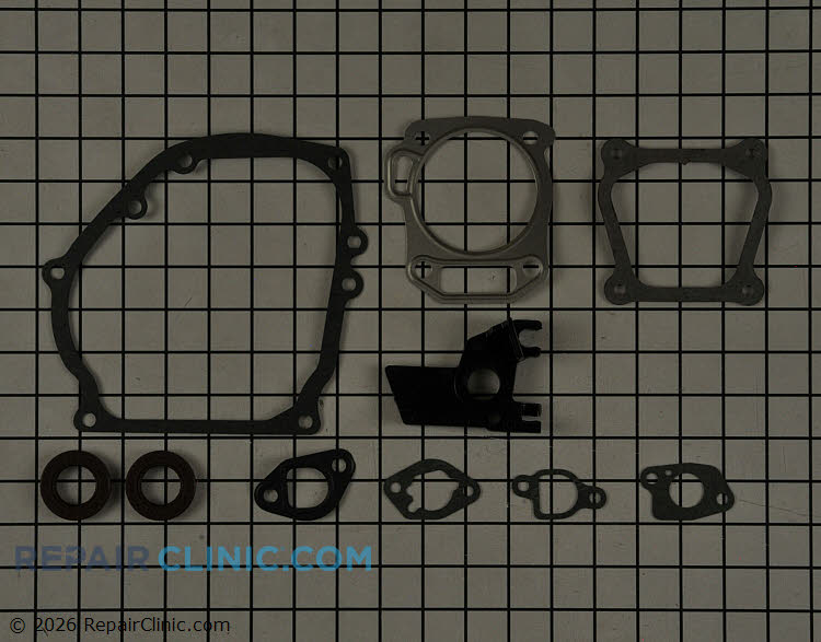 20843001 Gasket Set
